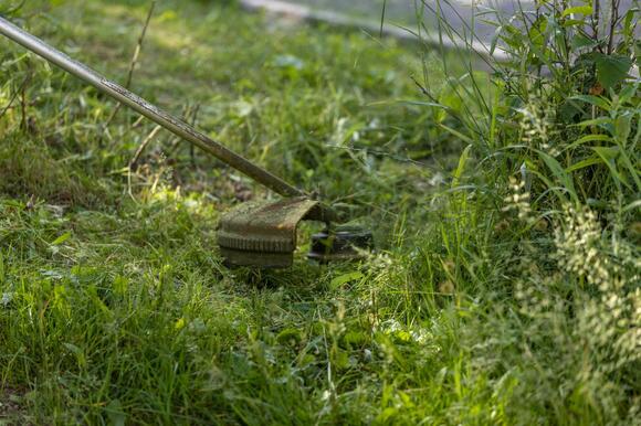 Plymouth Announces Weekend Drop-Off for Storm Debris & Yard Waste ...