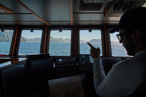 The fish behind America’s fish sticks is fueling a fight over trawling ...
