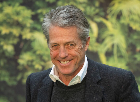 Hugh Grants Road To Riches Exploring Hugh Grant Young A Detailed Insight - 6gcllvq