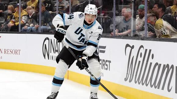 The Mammoth recall Artem Duda with injury to Michael Carcone