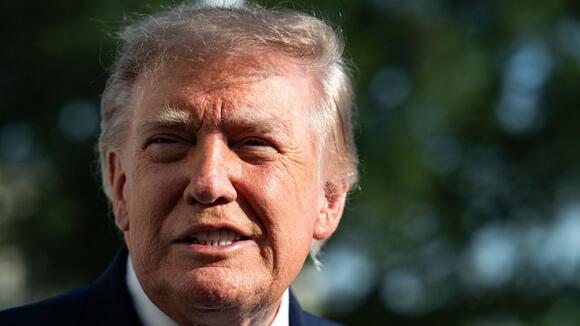 CNN host grills Democrat calling for Donald Trump's impeachment over alleged offenses: ‘Are all these high crimes? '