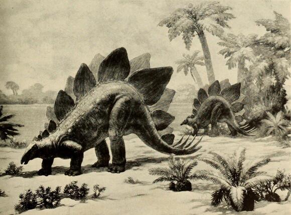 Why the Cretaceous Became the Age of Flowers (and Dinosaurs) - NewsBreak