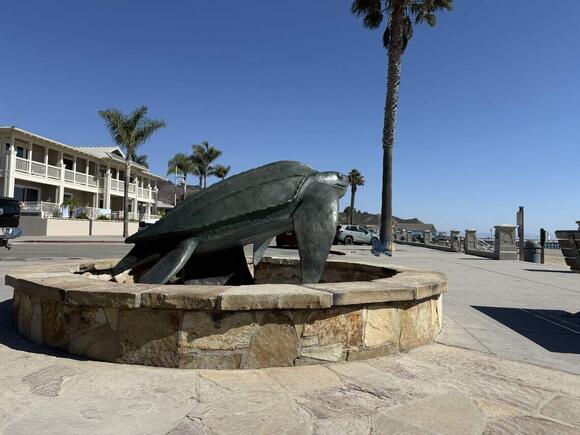 Sculpture of world's largest sea turtle installed in SLO County. Here's ...