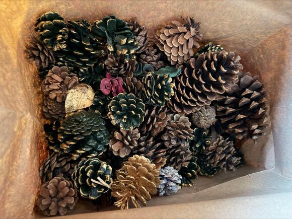 🎁 Free Holiday Decor & More in Springfield Right Now - NewsBreak