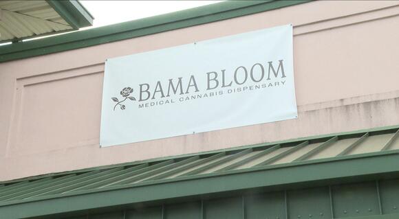 Bama Bloom medical cannabis dispensary celebrates grand opening in ...