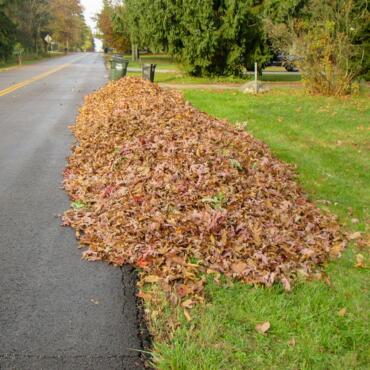 ⚠️ Richfield Village leaf pickup starts October 19, 2026 - NewsBreak