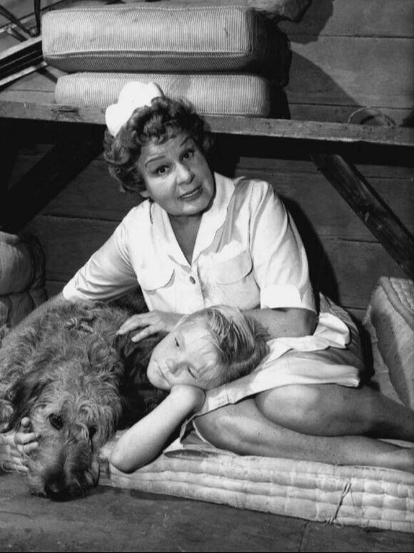 Bobby Buntrock Beyond 'Hazel': The Career of the Former Child Star Who ...
