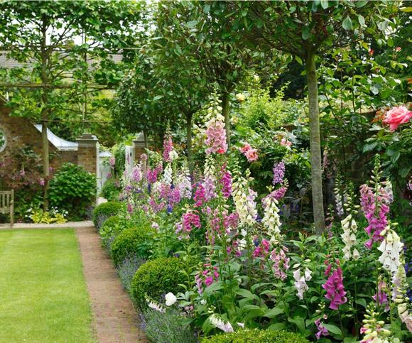 This 3-Inch Edging Rule Is a Fail-Safe Way to Keep Grass Out of Your ...