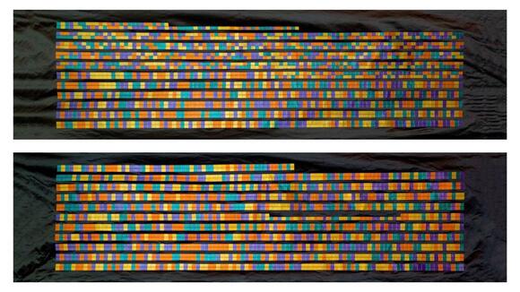 Natural Selection Shaped Hundreds More Human Genes Than We Thought ...