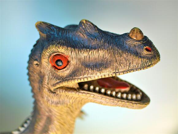 The Weirdest Dinosaur Memes on the Internet - NewsBreak