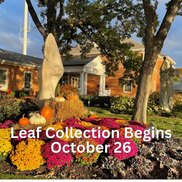 ⚠️ Deerfield curbside leaf collection Oct 26–Nov 25 - NewsBreak