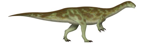 Chickenosaurus: Could Scientists Actually Reverse-Evolve a Dinosaur ...