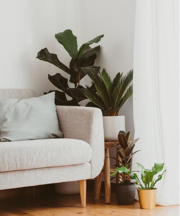 I Wish I’d Found This $7 Compact Potting Mat Sooner – It Makes ...