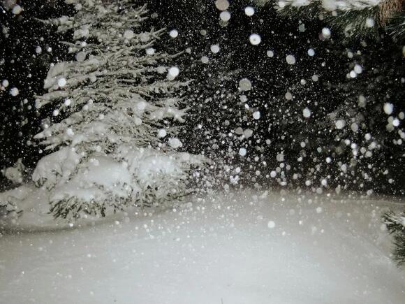 Thundersnow: The Rare Storm Where Lightning Strikes During a Blizzard ...