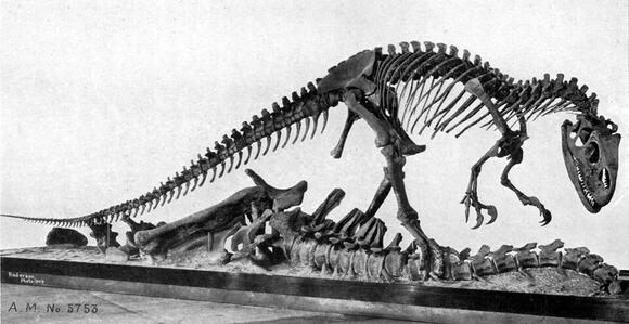 Brontosaurus is Back—But Should It Be? The Ongoing Debate Explained ...