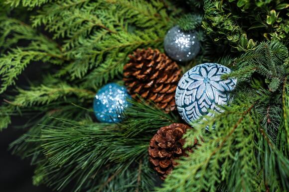 Holly Ball 2026 Theme Revealed & Tickets On Sale Soon - NewsBreak