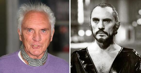 Terence Stamp Dead at 87: Legendary 'Superman' Villain's Family Shares  Emotional Statement Announcing His Death and Honoring His Career — 'He  Leaves Behind An Extraordinary Body of Work' - NewsBreak