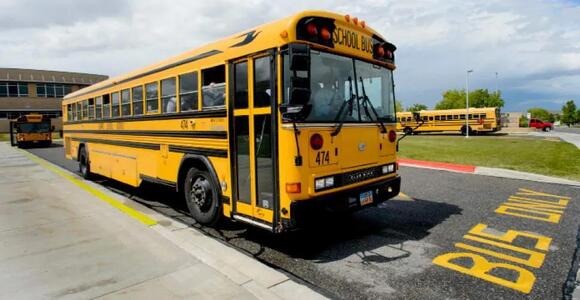 Why U.S. School Buses Have Black Stripes on the Sides — And What They ...
