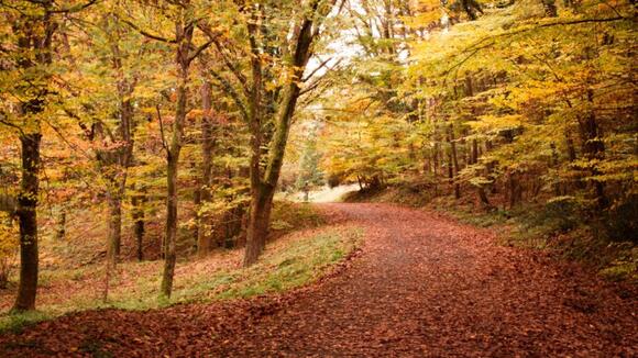 FEATURE: The First Cool Saturday of Fall Can Make You Want to Change ...