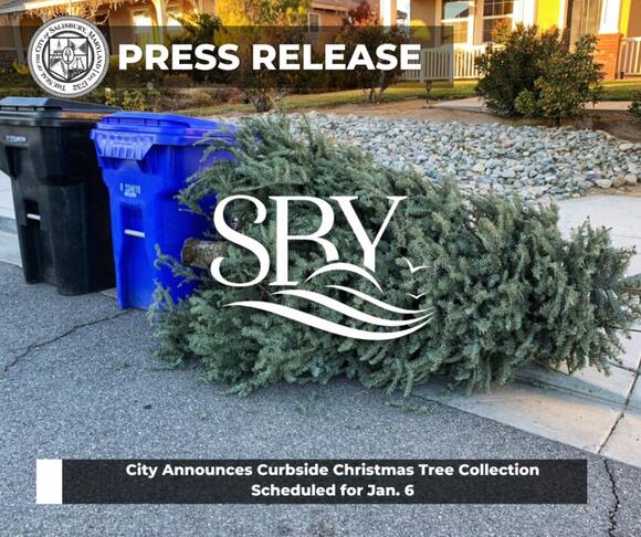 Salisbury announces curbside Christmas tree collection dates