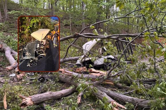 Tree Falls On Pickup Truck In Rhinebeck, Driver Trapped - NewsBreak