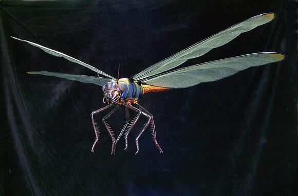 10 Prehistoric Insects That Were the Size of Birds - NewsBreak