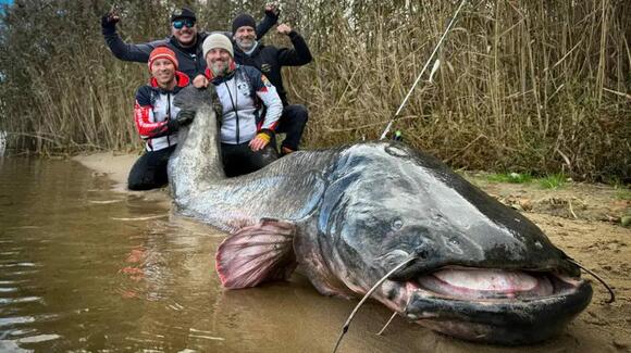 Polish Anglers Shatter World Record with 9.6 Foot Wels Catfish - NewsBreak