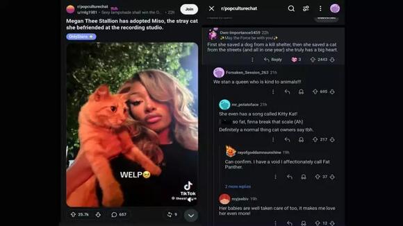 “She Truly Has a Big Heart”: Internet Reacts As Megan Thee Stallion ...
