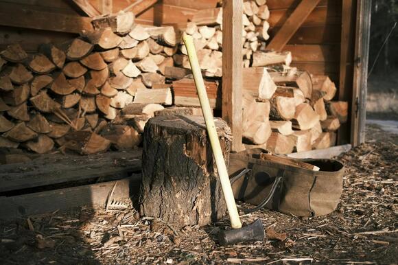 Michigan Is Changing the Rules on Bringing Firewood Into the State ...