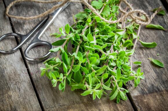 6 Herbs Used for Stiff Necks Before Muscle Relaxers Existed - NewsBreak