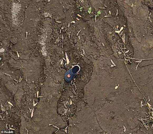 Infuriating photo hides two crocs - can you spot the second in under 30 ...