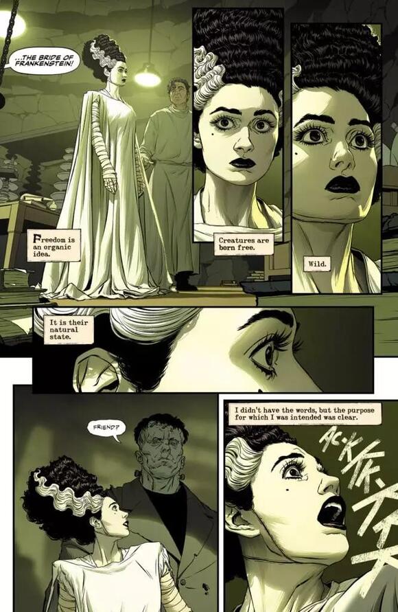 THE BRIDE OF FRANKENSTEIN Comic Author Gives The Bride a Voice - NewsBreak