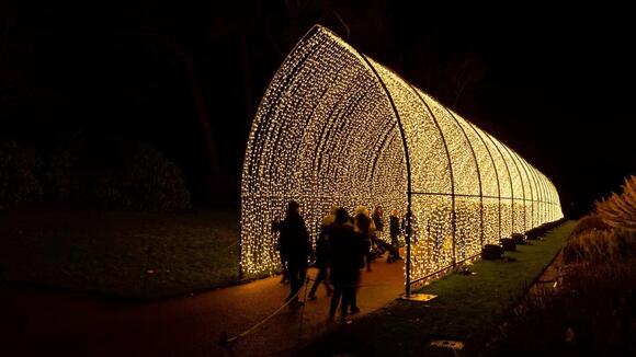 ‘Enchanting’ holiday light show comes to SF Botanical Garden - NewsBreak
