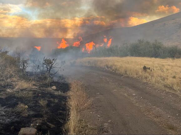 Human-caused Buckhorn 2 Fire burns 2,000 acres in Cassia County - NewsBreak