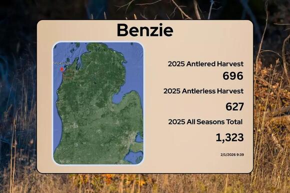 Michigan 2025 Deer Harvest Report: 83 County Breakdown - NewsBreak