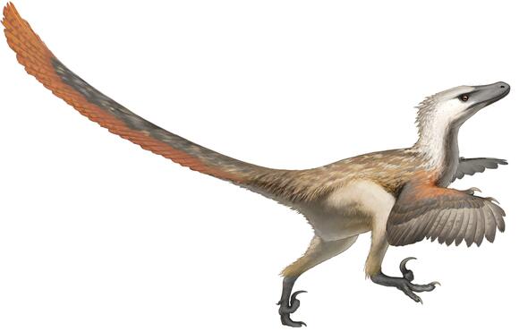 Raptor Revolution: Meet the Feathered Predators of the Late Cretaceous ...