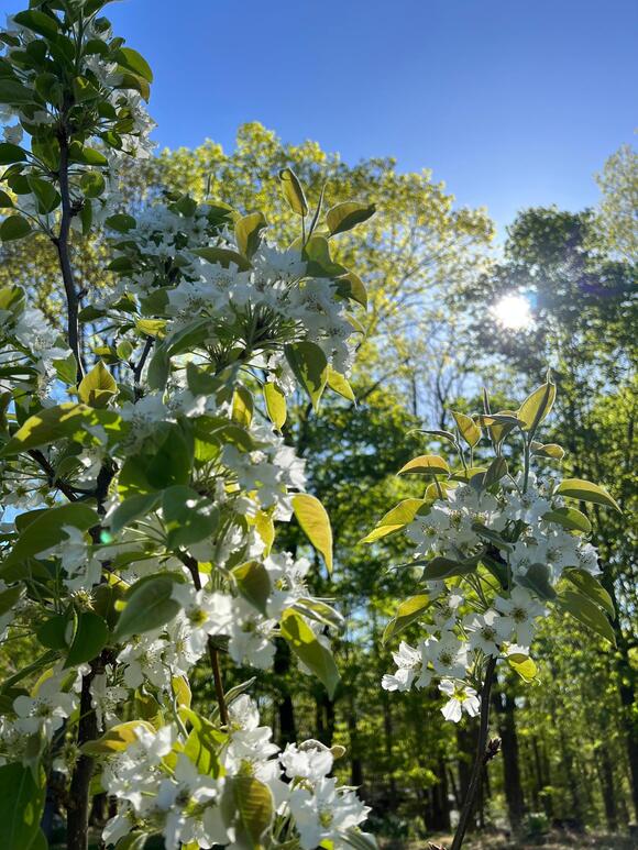 These Are My 12 Secrets For Growing A Thriving Garden (And Saving Money ...