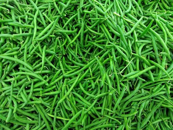 Things to Know Before You Put Green Beans in Your Grocery Cart - NewsBreak