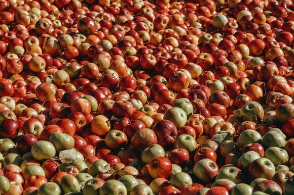 Michigan's Oldest Cider Mill Has Been Around Since 1874 - NewsBreak