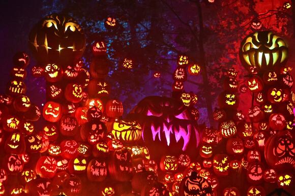 Roger Williams Zoo Announces Dates for the Great Pun-kin Trail - NewsBreak