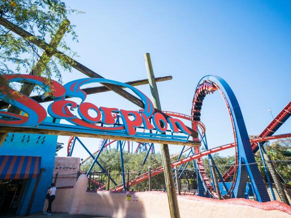 Busch Gardens set to close Scorpion roller coaster after more than 44 years