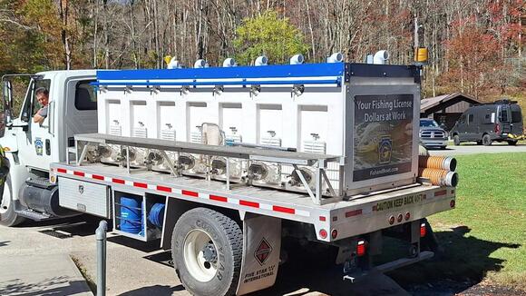 'Do not eat': Pa. issues fish consumption advisory for Wissahickon ...