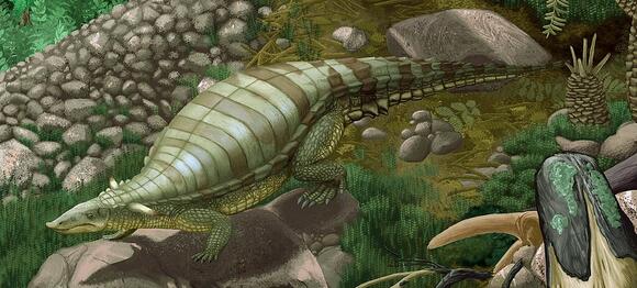 Typothorax: The Strange Armored Reptile From the American Southwest ...