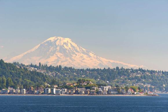 The Top 8 U.S. Cities with the Most Trees - NewsBreak