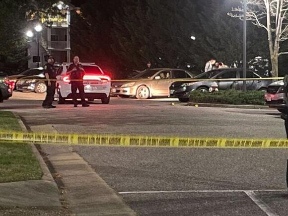 Boy, 16, shot by deputy after pointing gun at people in York County ...