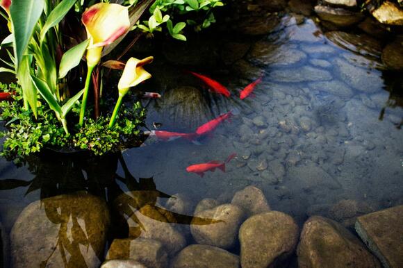 Fun Gardening Projects for Kids to Learn About Animals - NewsBreak