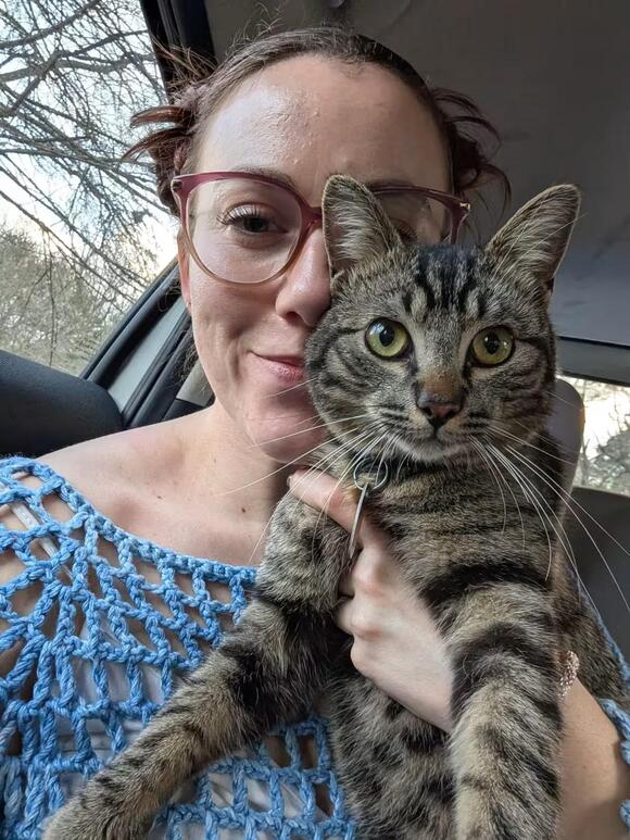 🐱 Playful, Gentle & Loving Cats Ready for Adoption in Columbia - NewsBreak