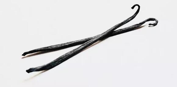 Vanilla-derived compound shown to accelerate healing of chronic wounds ...