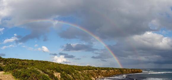 Why Rainbows Are Actually Full Circles You Just Can't See From the ...