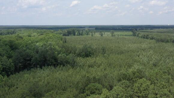 Suffolk neighbors raise concerns over proposed Old Myrtle solar farm ...